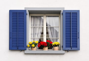 Window with blue shutters and flowers