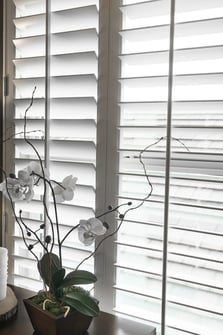 Window treatments_plantation shutters