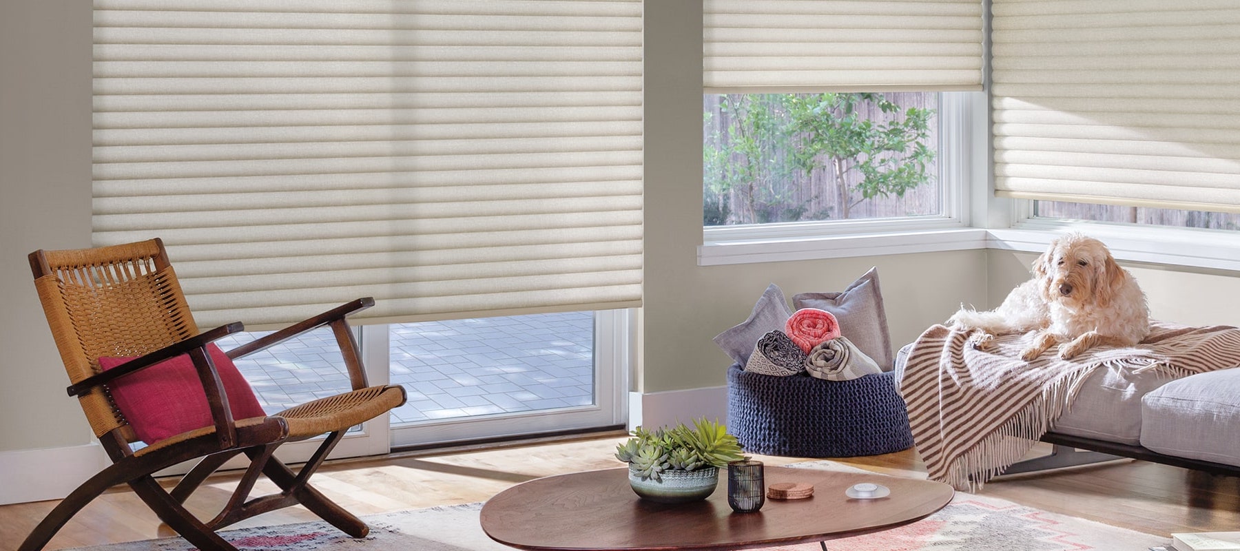 Featured Product Spotlight Cordless Blinds and Shades